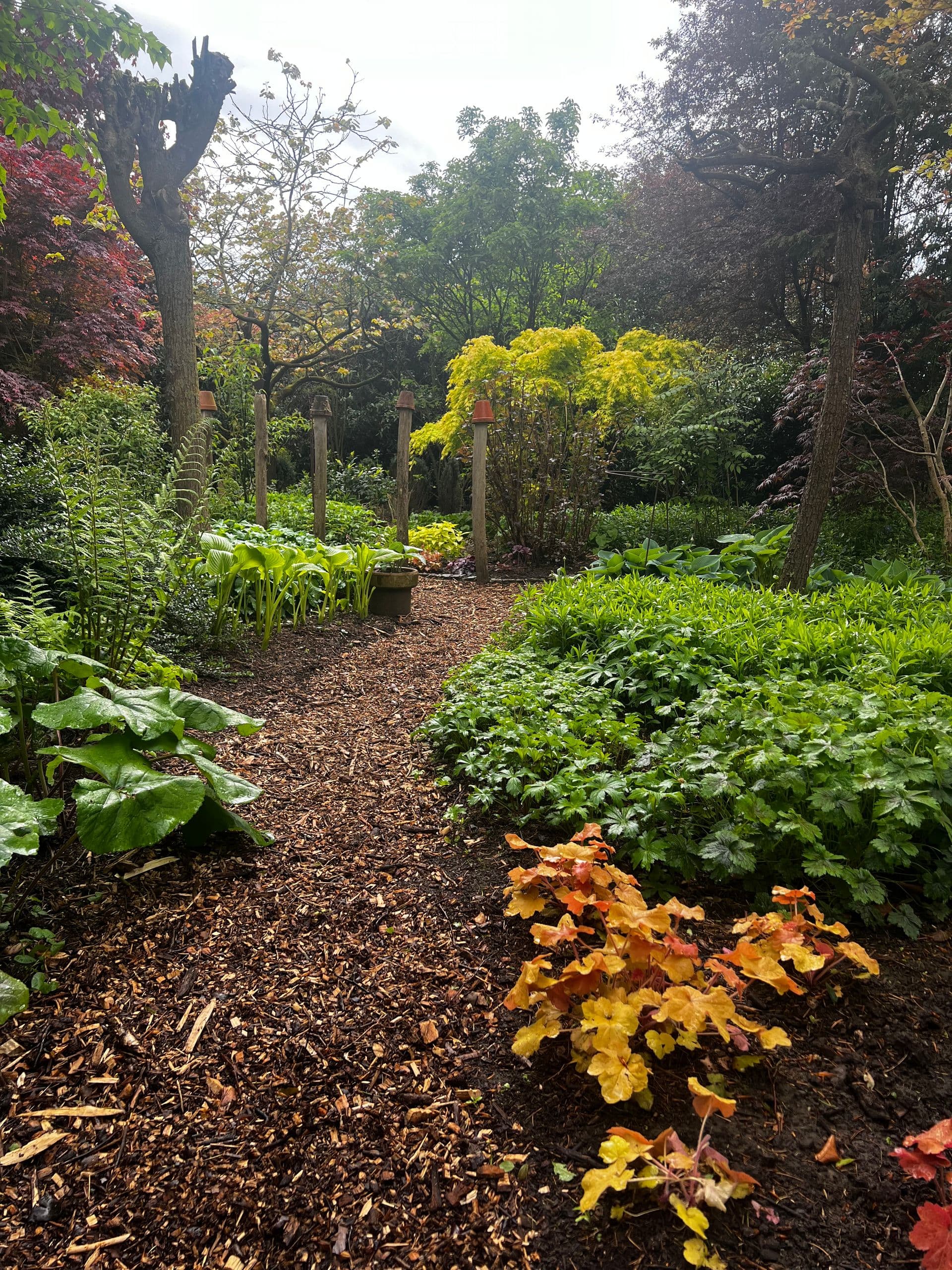 Het bijzondere van de vlindertuin