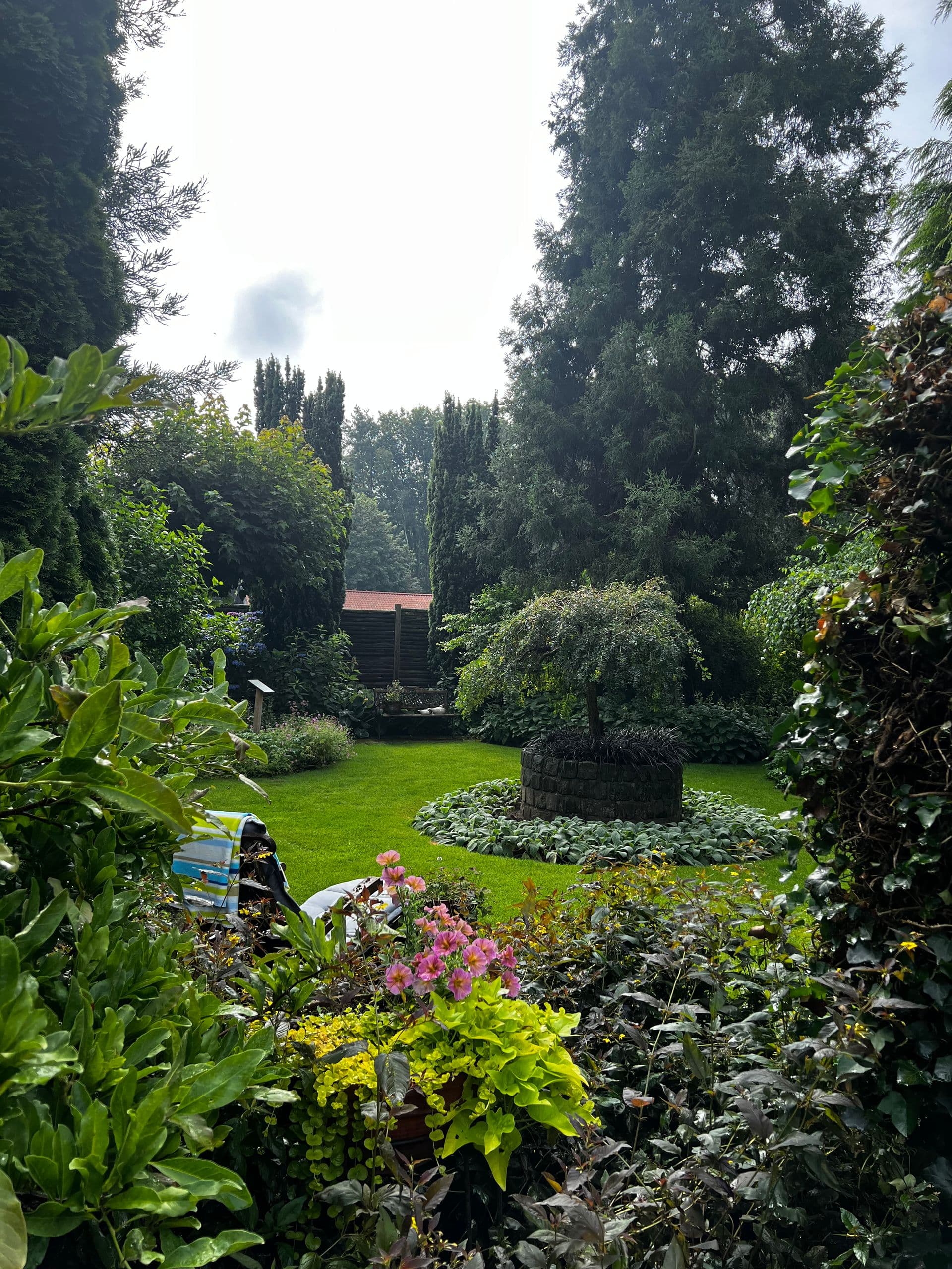 Vlierbloesemslikken met Mango & Limoen